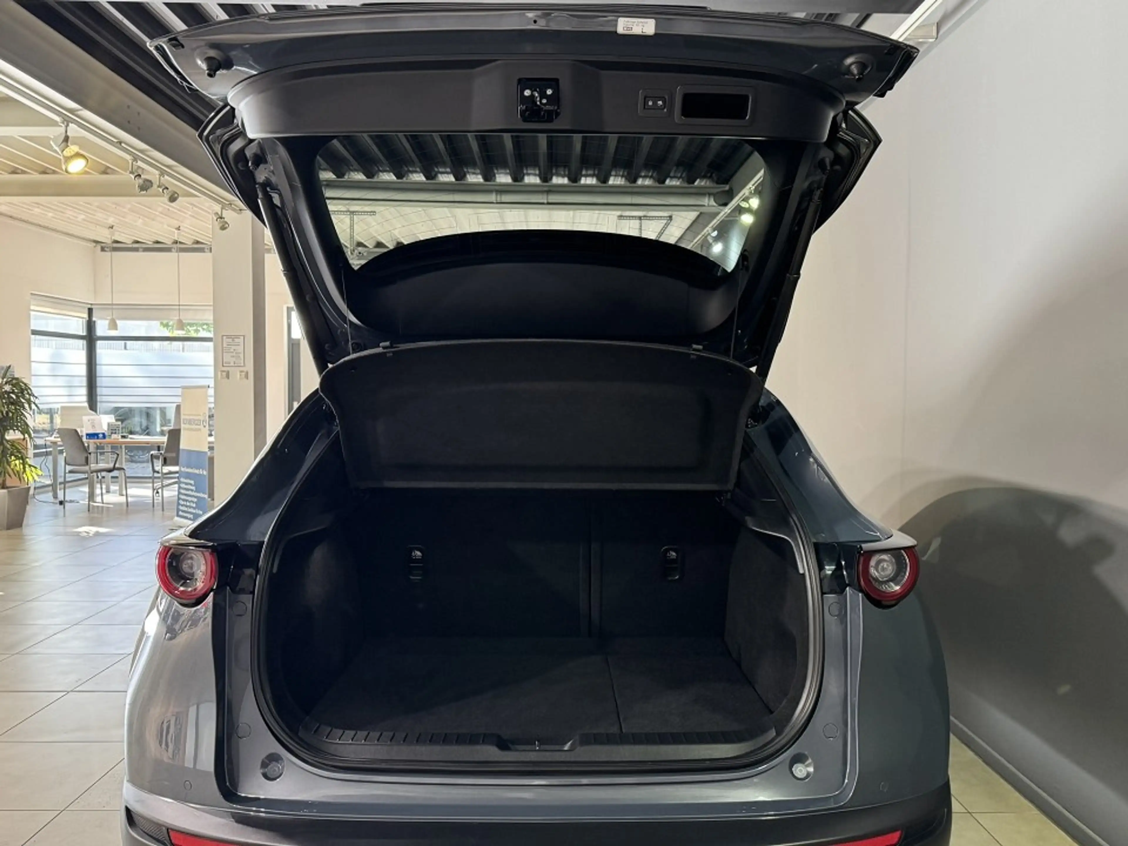 Mazda CX-30 Homura G-150/6GS/Navi/Head-Up/Keyless/Kamera — photo 5