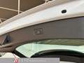 Audi Q7 Allrad Hybrid 55 TFSI e PHEV quattro Blanc - thumbnail 13