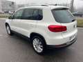 Volkswagen Tiguan Tiguan 2.0 TDI 140CV 4MOTION*Automatik*Pelle*Tetto Weiß - thumbnail 10