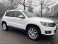 Volkswagen Tiguan Tiguan 2.0 TDI 140CV 4MOTION*Automatik*Pelle*Tetto Weiß - thumbnail 5