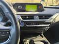 Lexus UX 250h (E-FOUR) Business Edition - thumbnail 10
