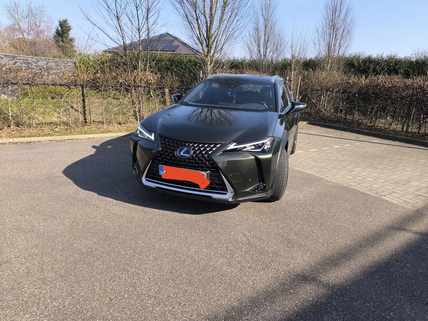 Lexus UX 250h (E-FOUR) Business Edition - 1