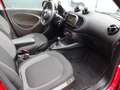 smart forFour EQ pulse 22 KW Faltdach,EXCLUSIVE,Kamera Rot - thumbnail 9