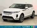 Land Rover Range Rover Evoque 2.0d i4 mhev SE awd *PREZZO REALE* Blanc - thumbnail 1