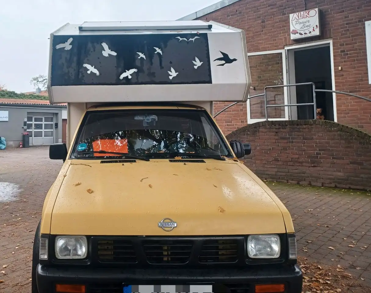 Nissan King Cab H-Kennz.ohne Kabine,rostfrei, foto 6