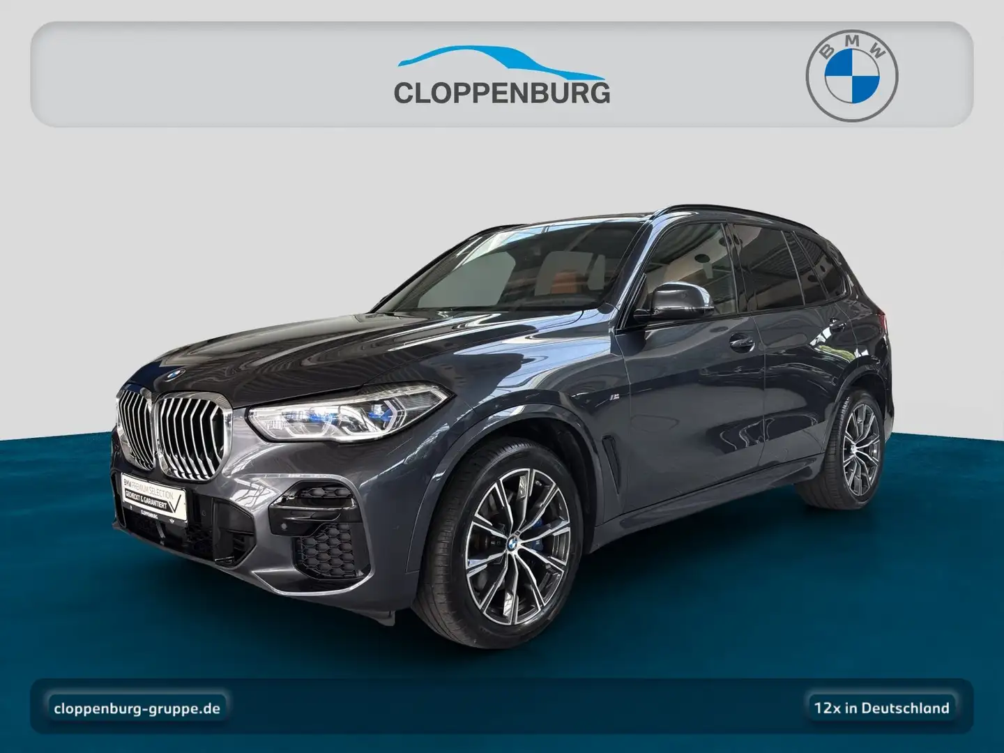 BMW X5 xDrive30d M Sportpaket Head-Up HiFi DAB WLAN Grau - 1