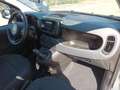 Fiat New Panda 1000 HYBRID 70 CV PACK CITY 5 POSTI USB ITALIA Blanc - thumbnail 7