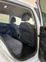 Volkswagen Golf 1.0 eTSI Life DSG 81kW Blanc - thumbnail 39