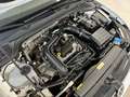 Volkswagen Golf 1.0 eTSI Life DSG 81kW Blanc - thumbnail 50