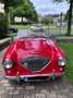 Austin-Healey 100 BN1 - 3 speed & overdrive Rot - thumbnail 19