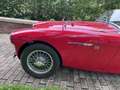 Austin-Healey 100 BN1 - 3 speed & overdrive Kırmızı - thumbnail 11