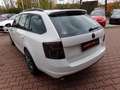 Skoda Octavia Combi RS, Standhz., Soundmodul Blanc - thumbnail 4