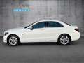 Mercedes-Benz C 300 C 300 de AVANTGARDE+DISTRO+KAMERA+COMAND+LED+SHZ Weiß - thumbnail 8