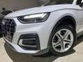 Audi Q5 35 TDI S tronic Business Advanced HYBRID/NAVI/LED Bianco - thumbnail 4