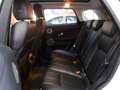 Land Rover Range Rover Evoque 2.0TD4 SE Dynamic 4WD Aut. 180 Weiß - thumbnail 10