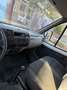 GAZ Gazelle Camion Cassonato - thumbnail 9