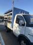 GAZ Gazelle Camion Cassonato - thumbnail 7