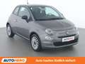 Fiat 500 1.0 Mild-Hybrid Grau - thumbnail 8