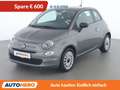Fiat 500 1.0 Mild-Hybrid Grau - thumbnail 1