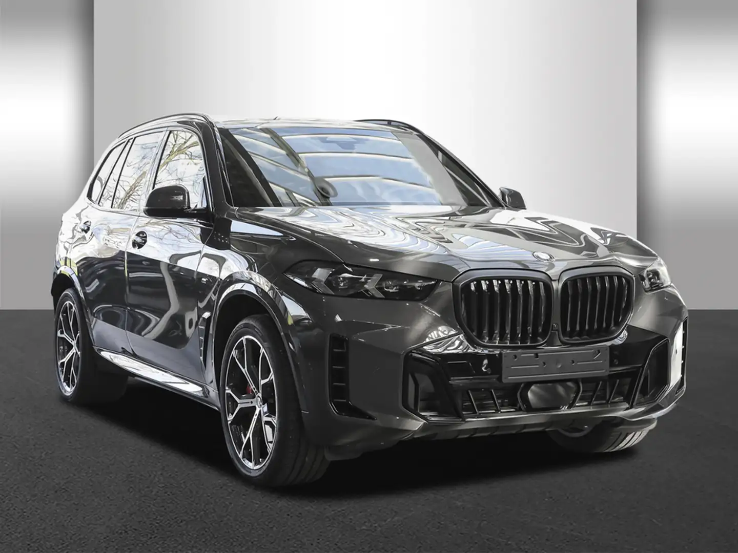 BMW X5 xDrive40d M Sportpaket Innovationsp. Panorama Grau - 2