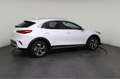 Kia XCeed Exclusive (Exclusive) 1.5 T-GDi 103 kW (140 PS)... Weiß - thumbnail 8