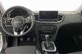 Kia XCeed Exclusive (Exclusive) 1.5 T-GDi 103 kW (140 PS)... Weiß - thumbnail 15