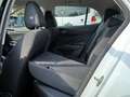 Skoda Fabia 1.0l TSI 70kW SHZ+PDC+TEMPOM Weiß - thumbnail 9