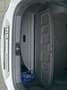 Kia ProCeed / pro_cee'd ProCeed 1.5 T-GDI Mild-Hybrid GT-Line Weiß - thumbnail 22