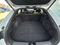 Kia ProCeed / pro_cee'd ProCeed 1.5 T-GDI Mild-Hybrid GT-Line Weiß - thumbnail 21