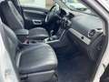 Opel Antara Cosmo 4x4 AHK Navi Xenon Scheckheft Blanc - thumbnail 7