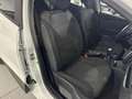 Renault Clio 1.5dCi Energy Business 55kW Weiß - thumbnail 22