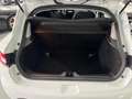 Renault Clio 1.5dCi Energy Business 55kW Weiß - thumbnail 29