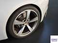Porsche 911 992.1 Carrera T Grau - thumbnail 37