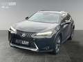 Lexus UX 300h Luxury *MARK&LEVINSON*HUD*CARPLAY*360* Noir - thumbnail 2