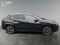 Lexus UX 300h Luxury *MARK&LEVINSON*HUD*CARPLAY*360* Noir - thumbnail 7