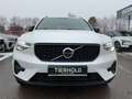 Volvo XC40 T4 Plus Dark Plug-In 2WD ACC BLIS 360° HK Weiß - thumbnail 10