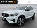 Volvo XC40 T4 Plus Dark Plug-In 2WD ACC BLIS 360° HK Weiß - thumbnail 1