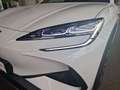 BYD Sealion 7 Excellence AWD *AKTIONSPREIS * Weiß - thumbnail 7