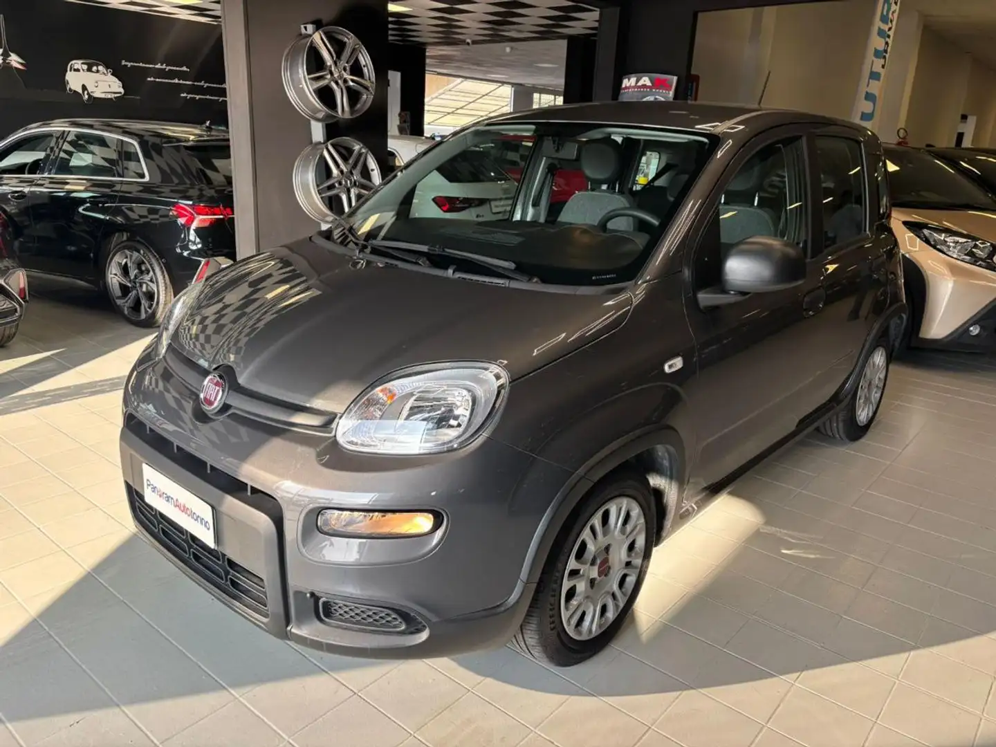 Fiat Panda 1.0 FireFly S&S Hybrid City Life Grigio - 2