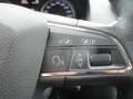 SEAT Ibiza SC 1.0 EcoTSI Style Grau - thumbnail 4