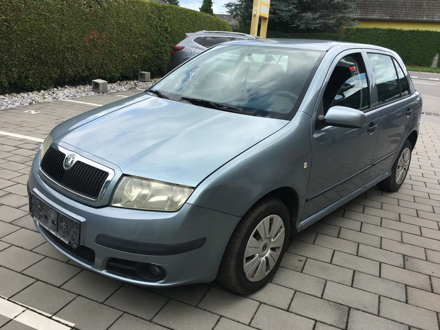 Skoda Fabia Grau - 1