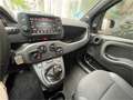 Fiat Panda Sport Hybrid 1.0 Gse 51kw (70CV) - thumbnail 12