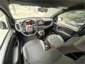 Fiat Panda Sport Hybrid 1.0 Gse 51kw (70CV) - thumbnail 26