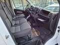 Fiat Ducato L2 Pritsche 7-SITZER, MWST. AUSWEISBAR Weiß - thumbnail 17