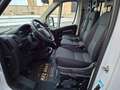 Fiat Ducato L2 Pritsche 7-SITZER, MWST. AUSWEISBAR Weiß - thumbnail 15
