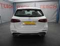 Mercedes-Benz B 250 4Matic|STANDHZ|KAMERA|PANO|AHK| Blanc - thumbnail 6