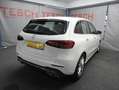 Mercedes-Benz B 250 4Matic|STANDHZ|KAMERA|PANO|AHK| Blanc - thumbnail 5