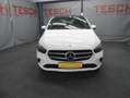 Mercedes-Benz B 250 4Matic|STANDHZ|KAMERA|PANO|AHK| Blanc - thumbnail 3