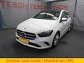 Mercedes-Benz B 250 4Matic|STANDHZ|KAMERA|PANO|AHK| Blanc - thumbnail 1