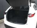 Mazda CX-5 2.5 AWD e-SkyActiv-G M Hybrid 194 Takumi | AUT. | Weiß - thumbnail 14